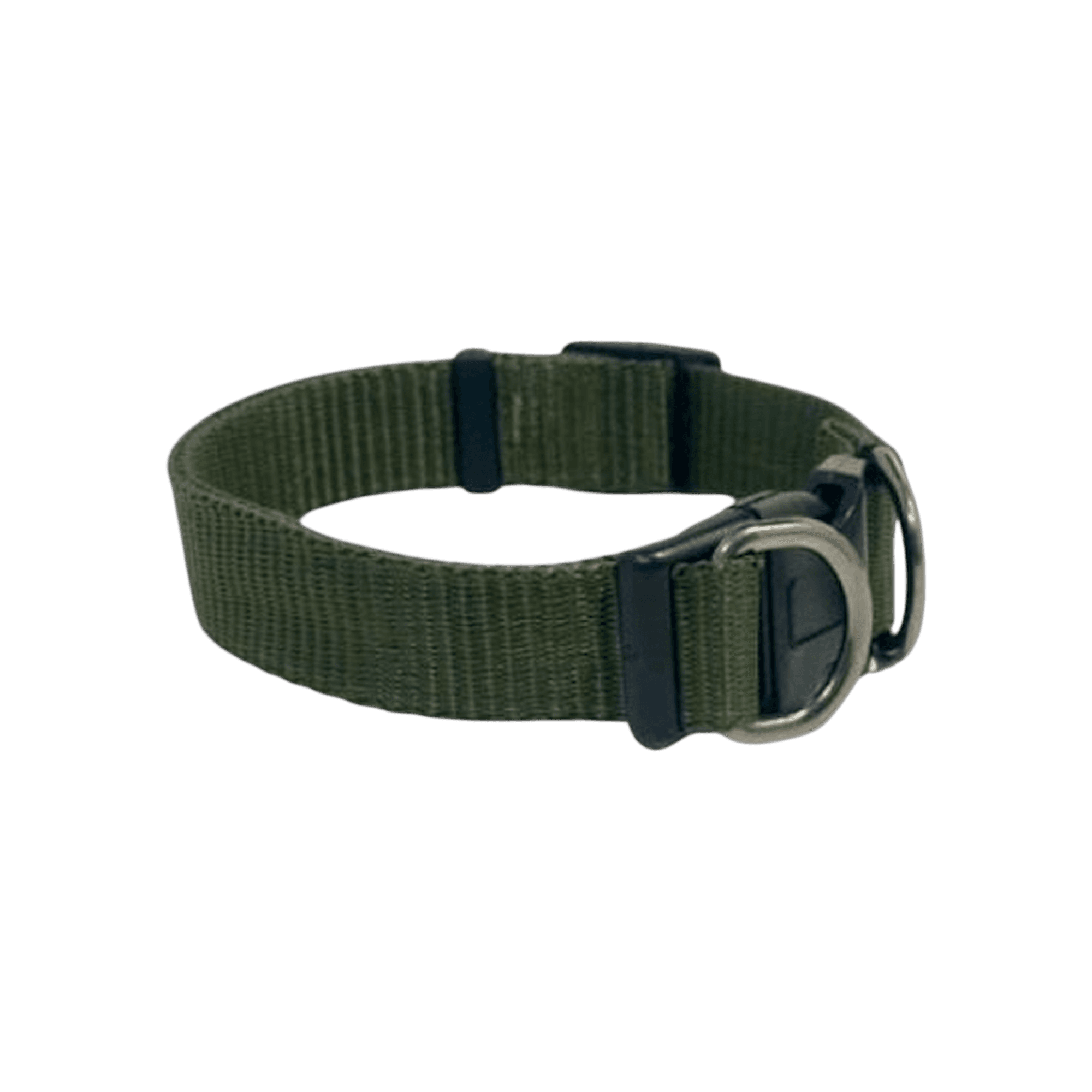 Verde — Coleira
