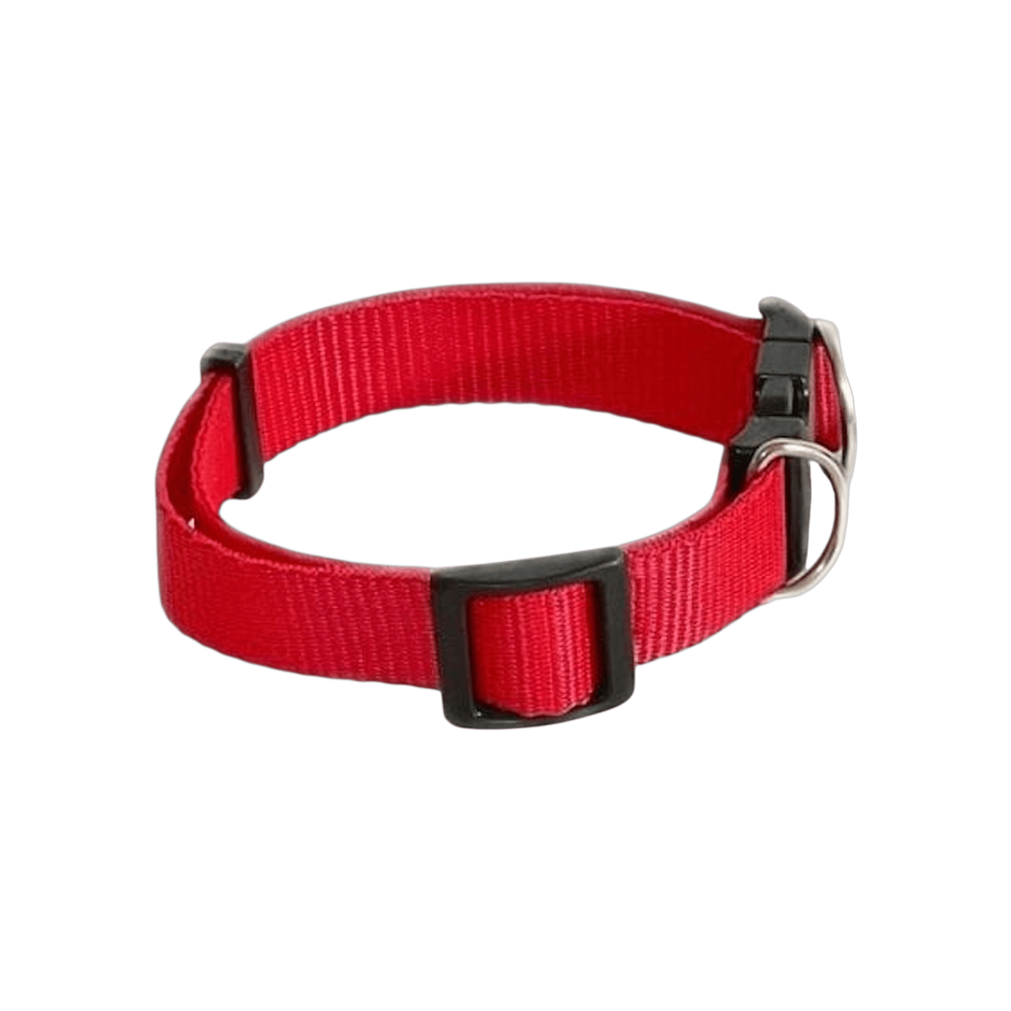 Vermelho — Coleira